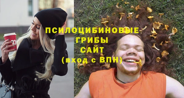 а пвп мука Богданович