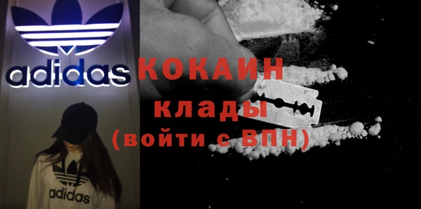мдпв Бронницы