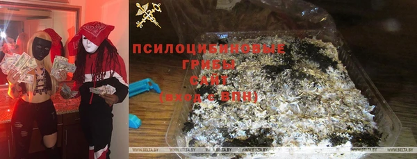 альфа пвп Бородино