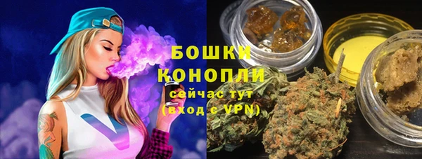 мдпв Бронницы
