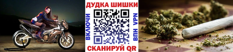 Бошки Шишки гибрид Ростов